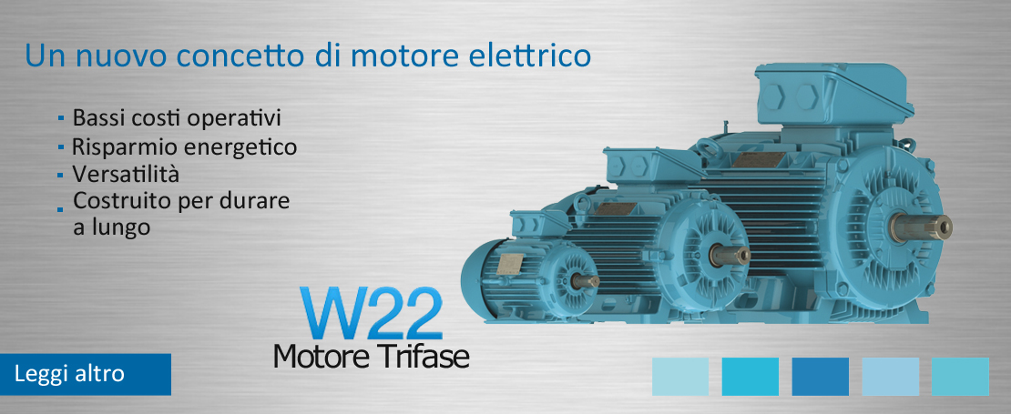 Motore W22